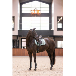 Ghette Imperial Riding Lovely Verde salvia Ghette Imperial Riding Lovely Verde salvia