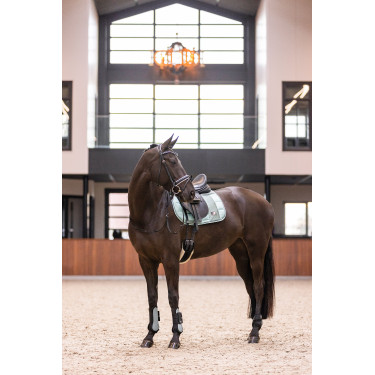 Ghette Imperial Riding Lovely Verde salvia Ghette Imperial Riding Lovely Verde salvia