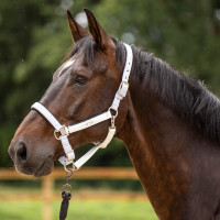 Capezza HV Polo Skye Bianco Capezza HV Polo Skye Bianco