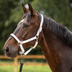 Capezza HV Polo Skye Bianco