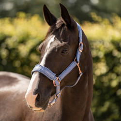 Capestro Imperial Riding Lovely Capestro Imperial Riding Lovely