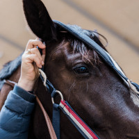 Capezzina Kingsland Classic con pile Marina Blu marino