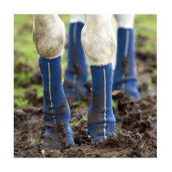 Ghette Close contact chaps Equilibrium Ghette Close contact chaps Equilibrium
