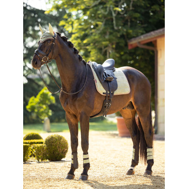 Stinchiere LeMieux Grafter Stinchiere LeMieux Grafter