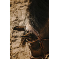 Bridon Eric Thomas Crown Avana Bridon Eric Thomas Crown Avana