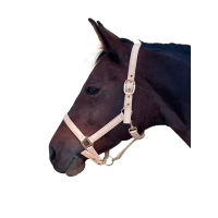 Licol Canter Malibu Noir