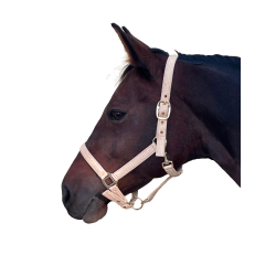 Capezzina Canter Malibu