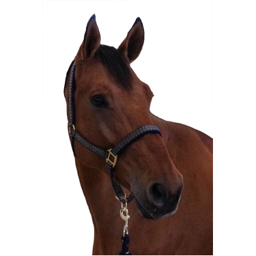 Set cavezzone + longhina Sonoma Canter Set cavezzone + longhina Sonoma Canter