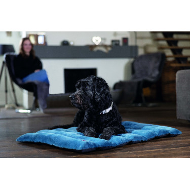 Collare per cane HKM Anam Cara in nylon Collare per cane HKM Anam Cara in nylon