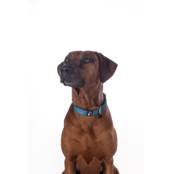 Collare per cane HKM Anam Cara in nylon Petrolio Blu