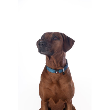 Collare per cane HKM Anam Cara in nylon Petrolio Blu