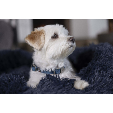 Collare per cane HKM Anam Cara in nylon Petrolio Blu