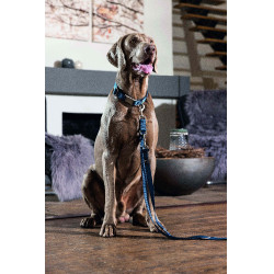 Collare per cane HKM Anam Cara in nylon Petrolio Blu