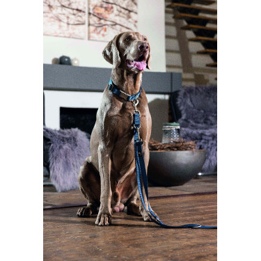 Collare per cane HKM Anam Cara in nylon Petrolio Blu