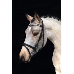Briglia HKM Little Star Briglia HKM Little Star