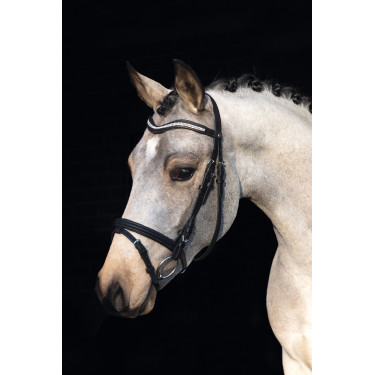 Briglia HKM Little Star Briglia HKM Little Star