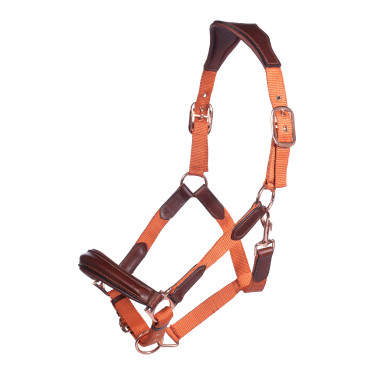 Capezza HKM Edinburgh Brandy Marrone