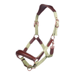 Capezza HKM Edinburgh Capezza HKM Edinburgh