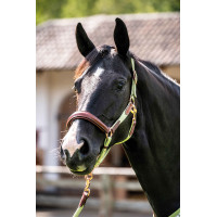 Capezza HKM Edinburgh Brandy Marrone Capezza HKM Edinburgh Brandy Marrone