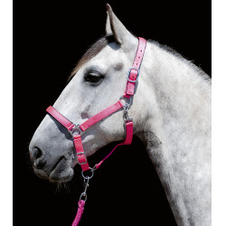 Capestro Stars Softice fodera morbida HKM Rosa Capestro Stars Softice fodera morbida HKM Rosa