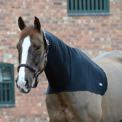 Scaldacollo WeatherBeeta Stretch Scaldacollo WeatherBeeta Stretch
