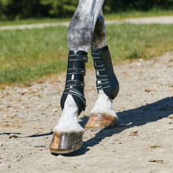 Stinchiere da dressage WeatherBeeta con guscio rigido