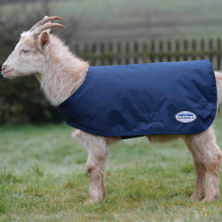 Cappotto per capra WeatherBeeta Cappotto per capra WeatherBeeta