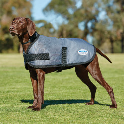 Cappotto per cane WeatherBeeta ComFiTec Classic Cappotto per cane WeatherBeeta ComFiTec Classic
