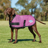 Cappotto per cane WeatherBeeta ComFiTec Classic Grigio scuro Cappotto per cane WeatherBeeta ComFiTec Classic Grigio scuro