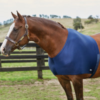 Proteggi spalle WeatherBeeta Blu navy