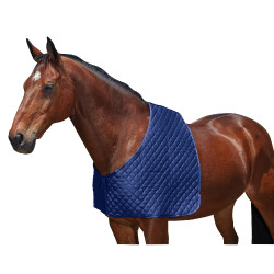 Spalline WeatherBeeta Deluxe
