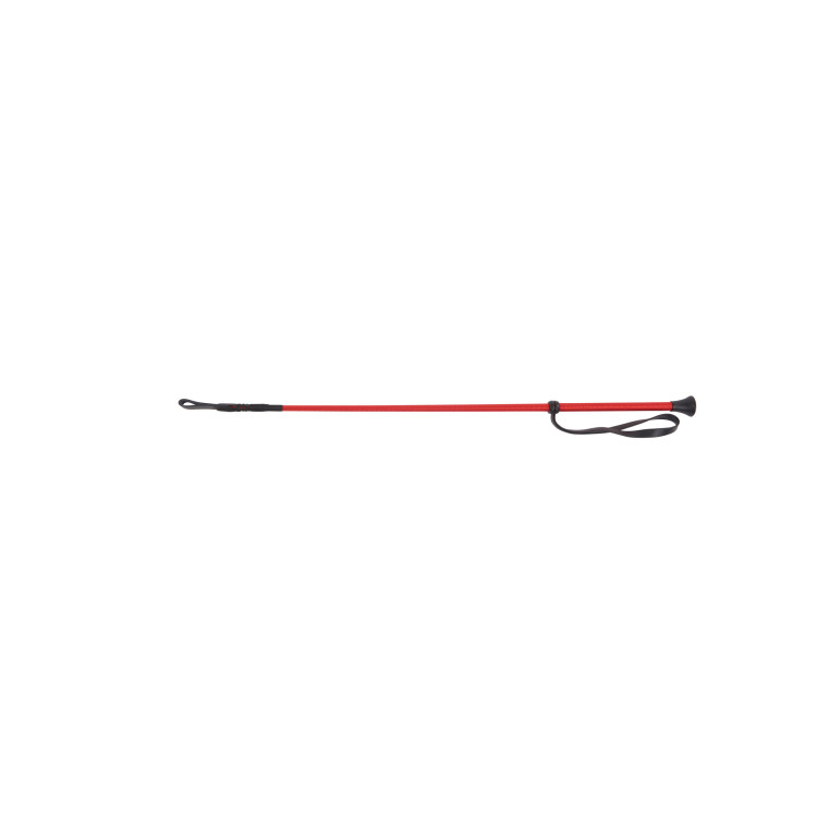 Frustino da dressage Dublin Brass in ottone Frustino da dressage Dublin Brass in ottone