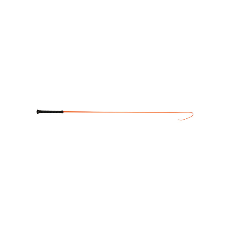 Frustino da dressage Dublin Brights Frustino da dressage Dublin Brights