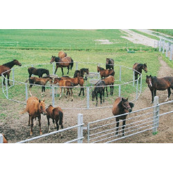 Mangatoia Circolare per Puledri con Recinto La Gée Mangatoia Circolare per Puledri con Recinto La Gée