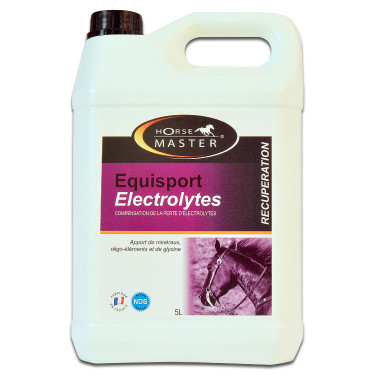 Equisport Elettroliti Horse Master Equisport Elettroliti Horse Master