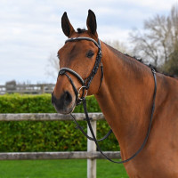 Briglia Clincher Jump'In One Premium Nero Briglia Clincher Jump'In One Premium Nero