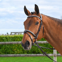 Briglia Clincher Jump'In One Premium Nero Briglia Clincher Jump'In One Premium Nero