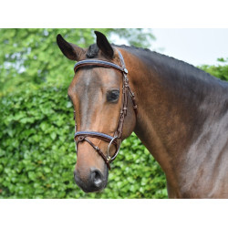 Filet Jump'In Crystal capezzina combinata Week Avana cristallo blu