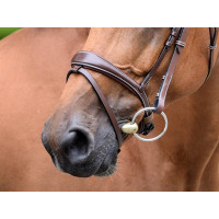 Muserolle Bruxelles Jump'In One Noisette