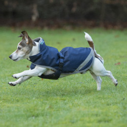 Coperta per cane Bucas Freedom 150g Coperta per cane Bucas Freedom 150g
