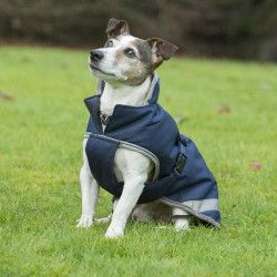 Coperta per cane Bucas Freedom 150g Coperta per cane Bucas Freedom 150g