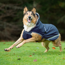 Coperta per cane Bucas Freedom 150g Coperta per cane Bucas Freedom 150g