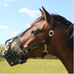 Cestino Greenguard Nero Cestino Greenguard Nero