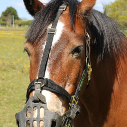 Cestino Greenguard Nero Cestino Greenguard Nero