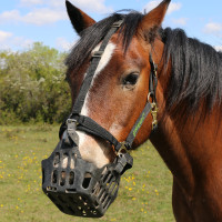 Cestino Greenguard Nero