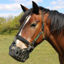 Cestino Greenguard Nero Cestino Greenguard Nero