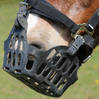 Cestino Greenguard Nero