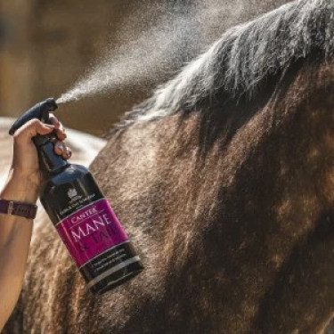 Lozione per criniera e coda Canter® Carr & Day & Martin Lozione per criniera e coda Canter® Carr & Day & Martin