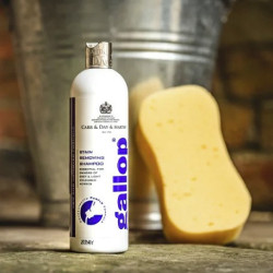 Shampoo smacchiante Gallop® Carr & Day & Martin Shampoo smacchiante Gallop® Carr & Day & Martin
