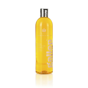 Shampoo Gallop® Carr & Day & Martin per nocciola e palomino Shampoo Gallop® Carr & Day & Martin per nocciola e palomino